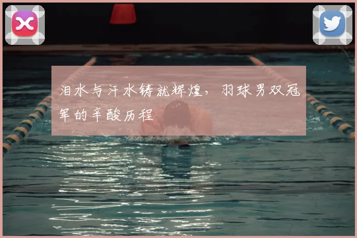 泪水与汗水铸就辉煌,羽球男双冠军的辛酸历程