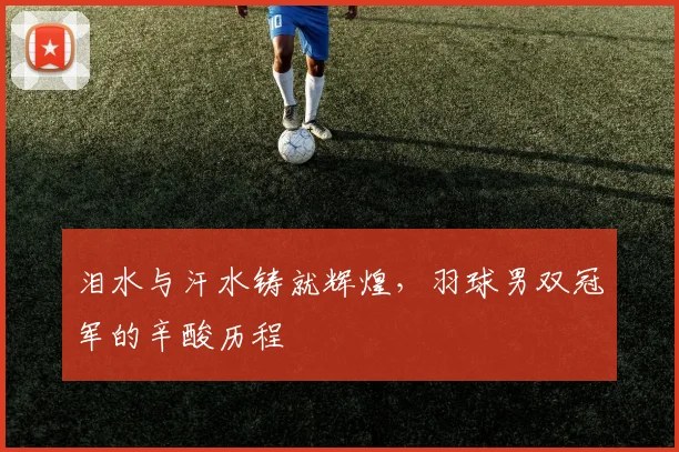 泪水与汗水铸就辉煌,羽球男双冠军的辛酸历程